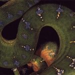 Schlange als Symbol für Verwandlung